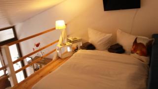 Ferienwohnung Felix Braunlage - Braunlage - 4