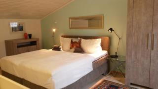 Ferienwohnung Felix Braunlage - 1