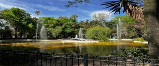 Discover Condesa Ideal Location - 5