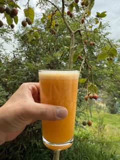 Buenavista - Sogamoso - 9