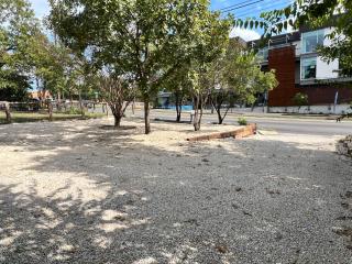 Authentic Austin Pad with Roof-top Deck Bar - 4