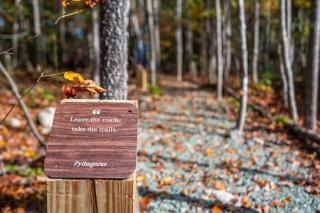 Full Bloom Tree House - Pittsboro - 3