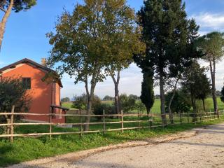Azienda Agricola il Borgo di Sant'Elia - Castel SantʼElia - 6