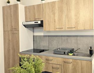 Appartement mi-troglodyte 4 a 6 personnes de 75 m - Orléans - 8