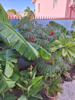 Sunset heights 2 bedroom appartment - Willemstad - 5