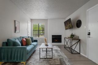 The Landry 163 Spacious And Cozy 1 Bedroom 1bth - Arlington - 8