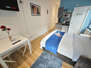 STUNNING STUDIO In NORTH LONDON - VICTORIA LINE - 2
