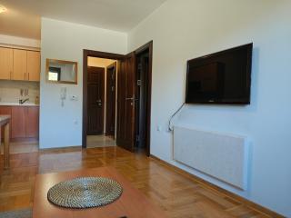 Apartman OZON - Zlatibor - 5