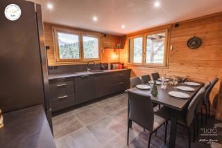 Appartement lumineux neuf dans bas de chalet LE DOUGLAS - La Joue du Loup - 3