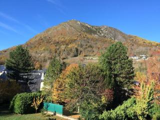 Joli studio rénové au cœur du village de St Lary - Saint-Lary-Soulan - 6