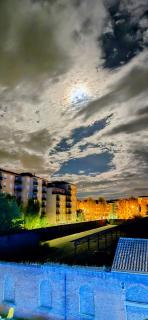 Jungle Sunshine Apartment - Alessandria - 0