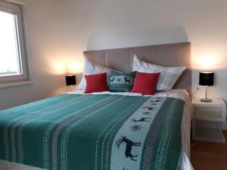 Apartchalet Sisi- including Saalfelden Leogang Card - Saalfelden am Steinernen Meer - 4