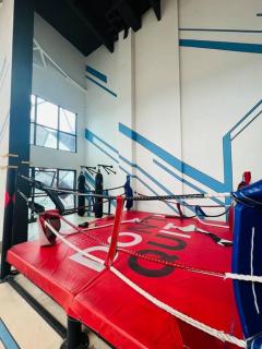 Arte Plus by Willow Trip - 4