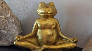 Ferienwohnung Sorgenfrei - 6