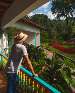 Dreamer Cocora - Salento - 8