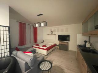 Apartmán CENTRAL - 6