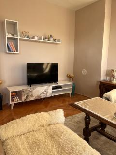 Apartment Vračar Nikšić - Nikšić - 1