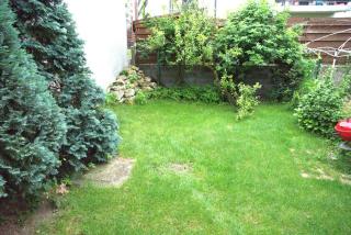 Homey Luxury- entire house, free parking, yard - Cluj-Napoca - 8
