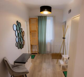 Homey Luxury- entire house, free parking, yard - Cluj-Napoca - 3