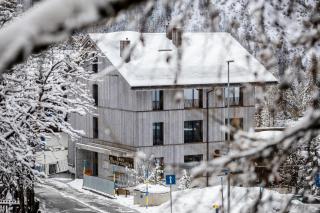 Haus Burgermeister Wohnung Erzhorn - Arosa - 9