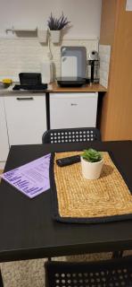 Studio Janko - Vrnjačka Banja - 9