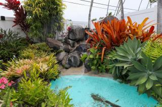 Bamboo Bungalow at Napili Ridge - 9