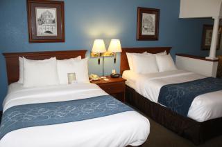 Comfort Suites St Charles-St Louis - St. Charles - 4
