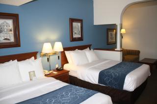 Comfort Suites St Charles-St Louis - St. Charles - 3