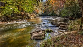 Fightingtown Creek Retreat - McCaysville - 9