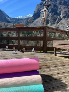 Hotel Au Bon Accueil - Les Deux Alpes - 8