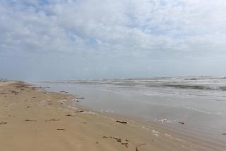 Walk to Beach Coastal Gem in Bolivar Peninsula! - 8