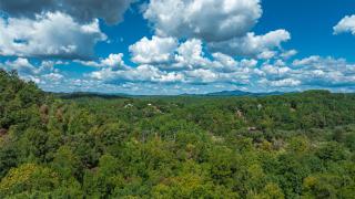 Black Bear Hollow - Blue Ridge - 3