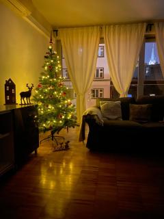 Spacious Apartment near City Center with Balcony and Garage Parking - Prague - 9