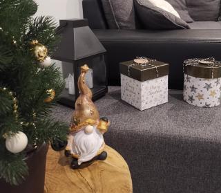 Souvenirs de Provence, charmant appartement neuf 3 étoiles - Digne-Les-Bains - 7