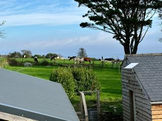 Little Bream - pretty cosy cottage, sea views, walk to the beach - 9