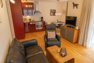 Anna 1 by SMR Rauris Apartments - inc Spa and near Gondola - Rauris - 8