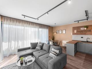 Stylish apartment with private swimming pool - Brtonigla - 3