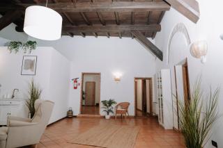 Bonne Nuit Terracina - 7