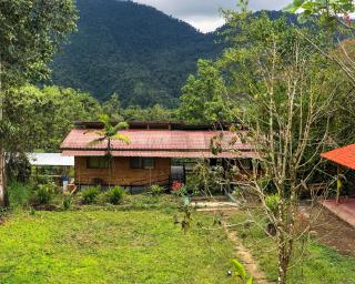 Sendero de las aves - Mindo - 0