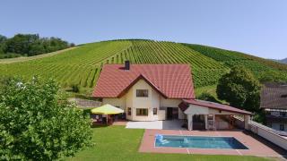 Schwarzwaldtraum am Weinberg - Sasbachwalden - 9