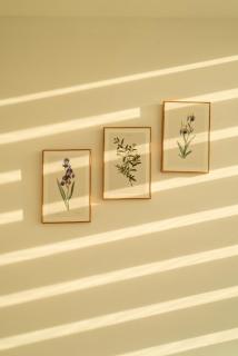 Will homestay, Nera Garden Huế - 7