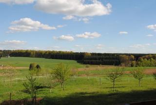 Haus Anna Ferienhaus Westerwald - - 7