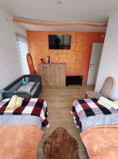 Apartman Zlatar-Vasiljevic - Nova Varoš - 9