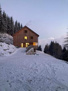 Mozirska koča - Mozirje - 9