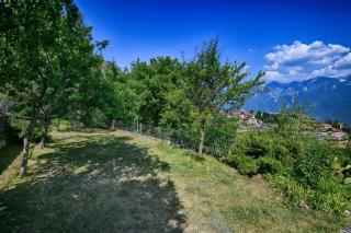 Lina's Home - Theater Home - 2