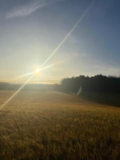 Stewards Granary - 4