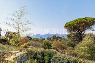 Votre maison de vacances dans un écrin de verdure - Cannes - Cannes - 6
