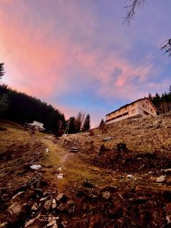 Mozirska koča - Mozirje - 8
