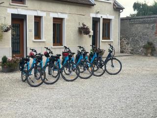 le Domaine de L étang Le Merger - Oeuilly - 9