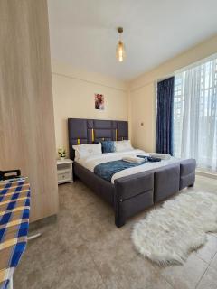 Executive 2 Bedroom Apartment Nakuru - Nakuru - 7
